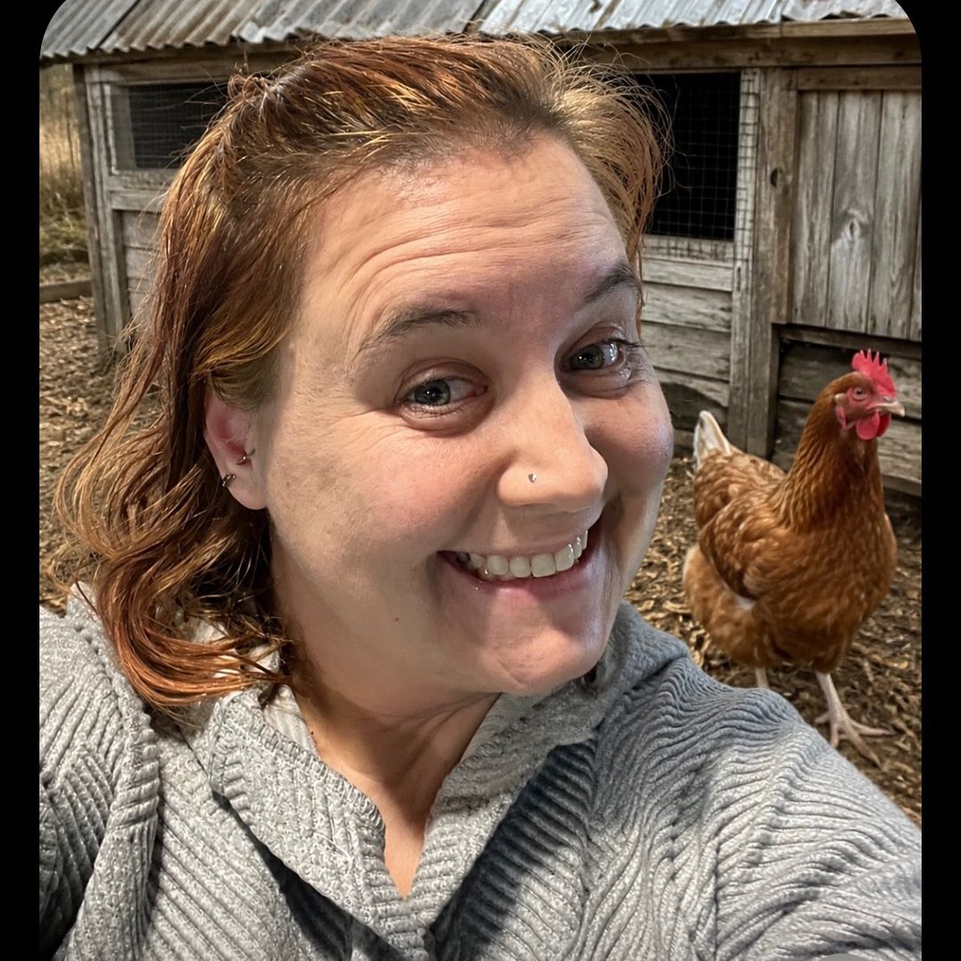 beechickenlady