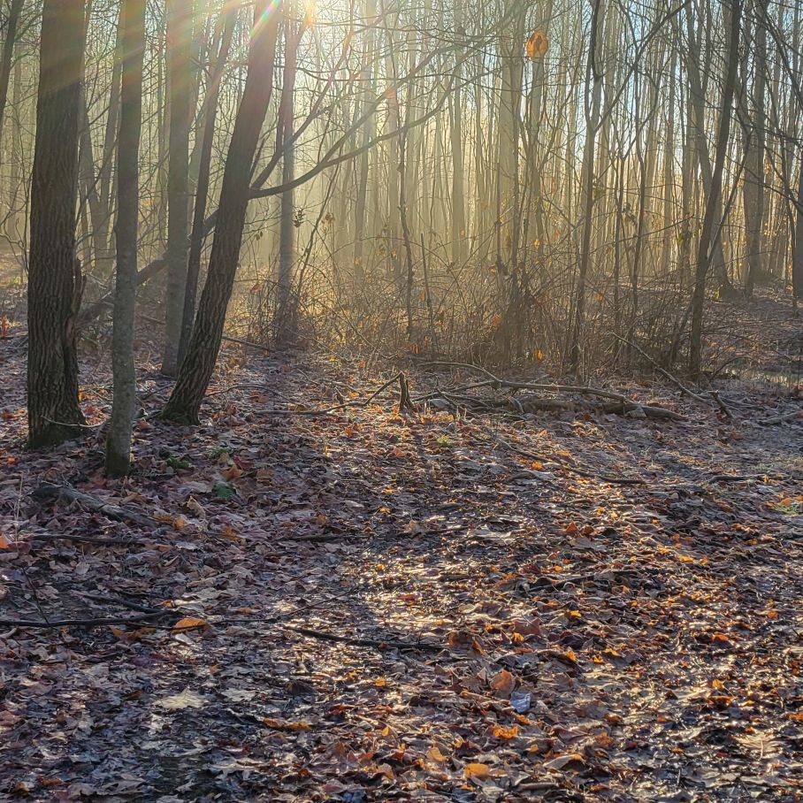 g.h.o.s.t.y.f.o.r.l.i.f0