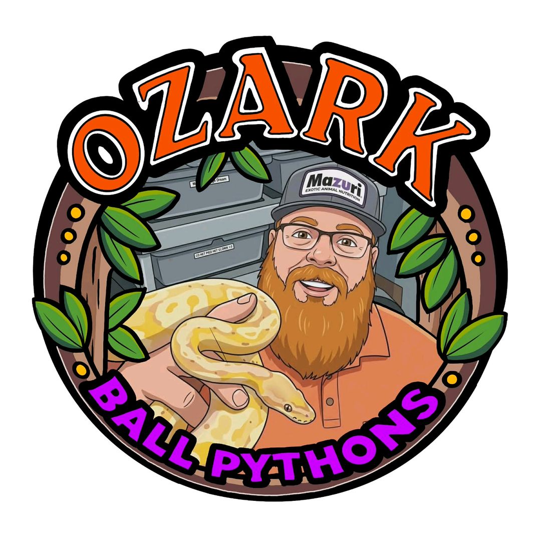 ozark_ball_pythons